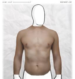 Torso