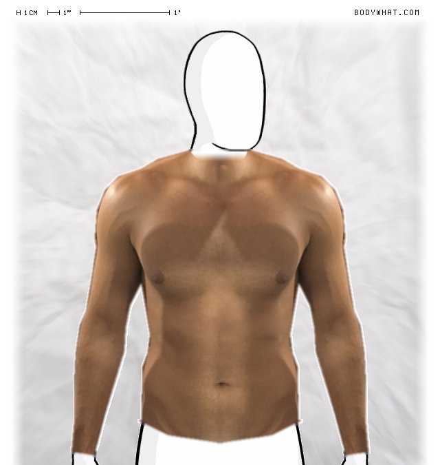 Picture 1