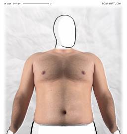Torso