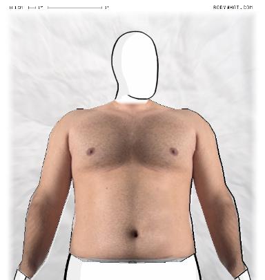 Muscle Morphing