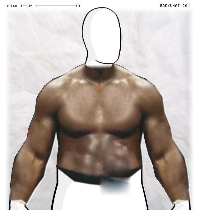 Picture 1