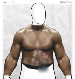 Torso