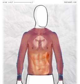 Torso