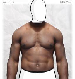 Torso