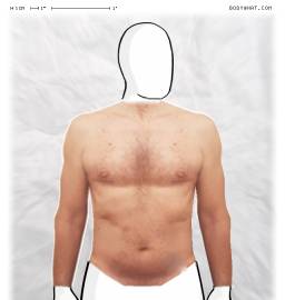 Torso