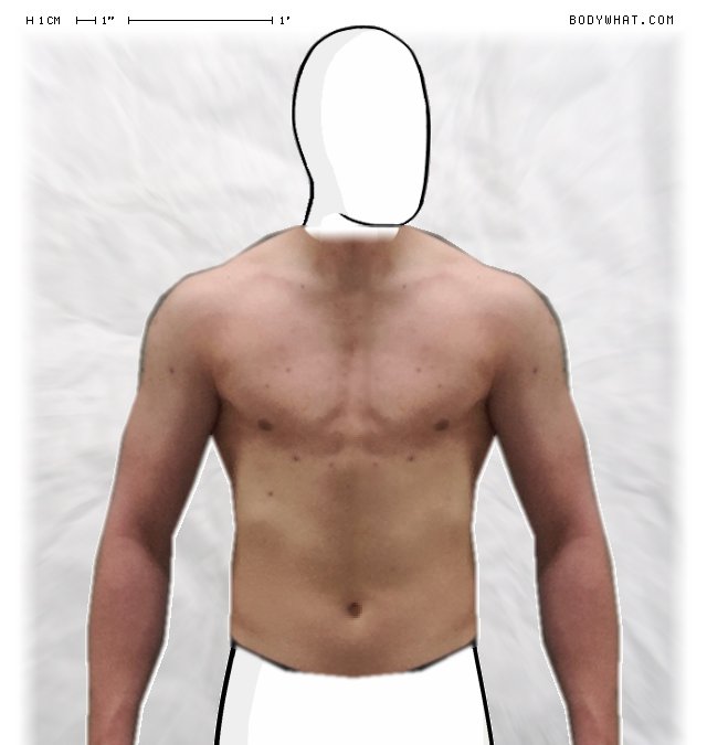 Picture 1