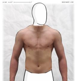 Torso