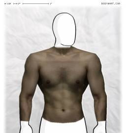 Torso