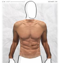 Torso