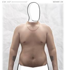 Torso