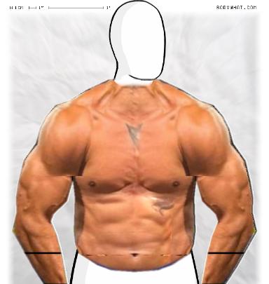 Muscle-ing up