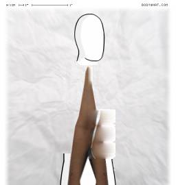 Torso