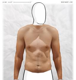Torso