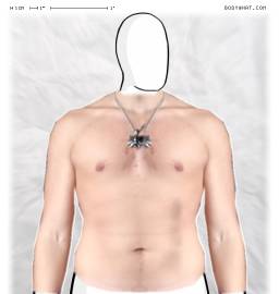 Torso