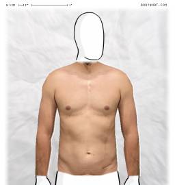 Torso