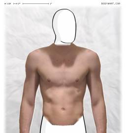 Torso