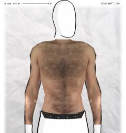 Torso