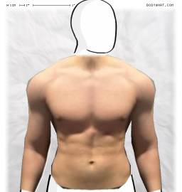 Torso