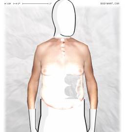 Torso