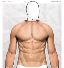 Torso