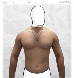 Torso
