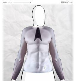 Torso