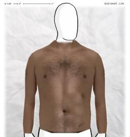 Torso