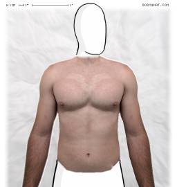 Torso