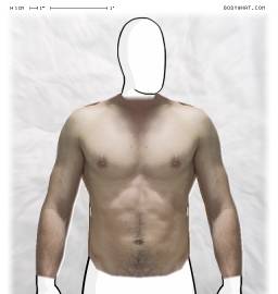 Torso