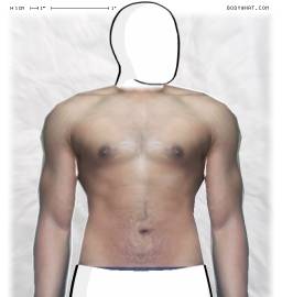 Torso