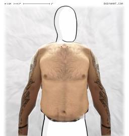 Torso