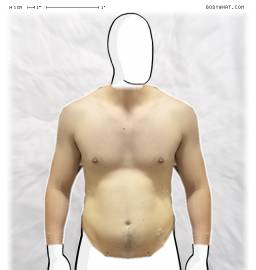Torso