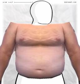 Torso