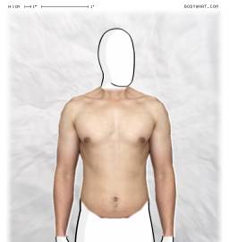 Torso
