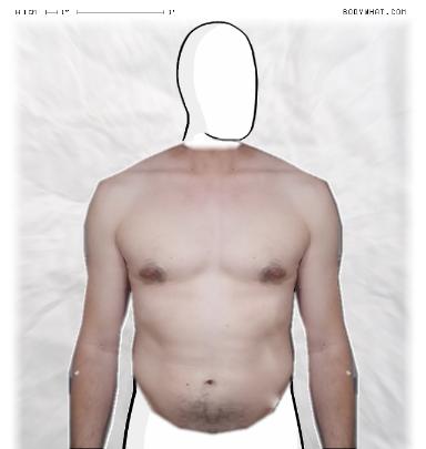 Slim Morphing