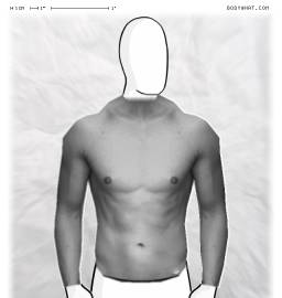 Torso
