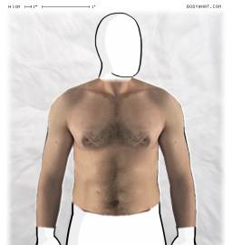 Torso