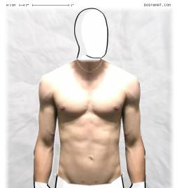Torso