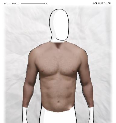 Muscle Morphing