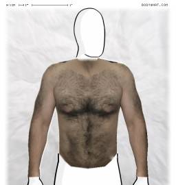 Torso