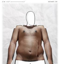 Torso