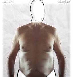 Torso
