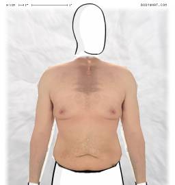 Torso