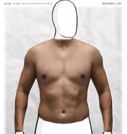 Torso