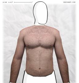 Torso