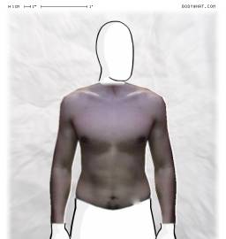 Torso