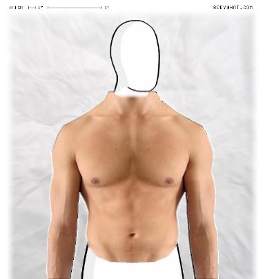 Muscle Morphing
