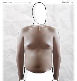 Torso