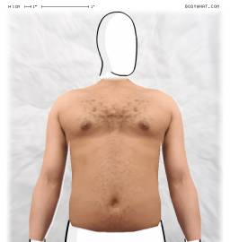 Torso