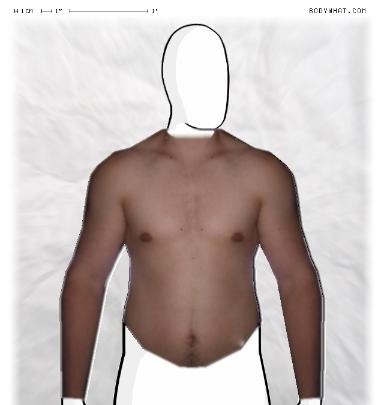 Muscle Morphing
